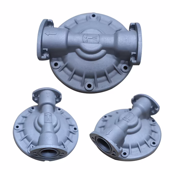 Отливка корпуса клапана газового устройства обратного клапана литейного производства на заказ